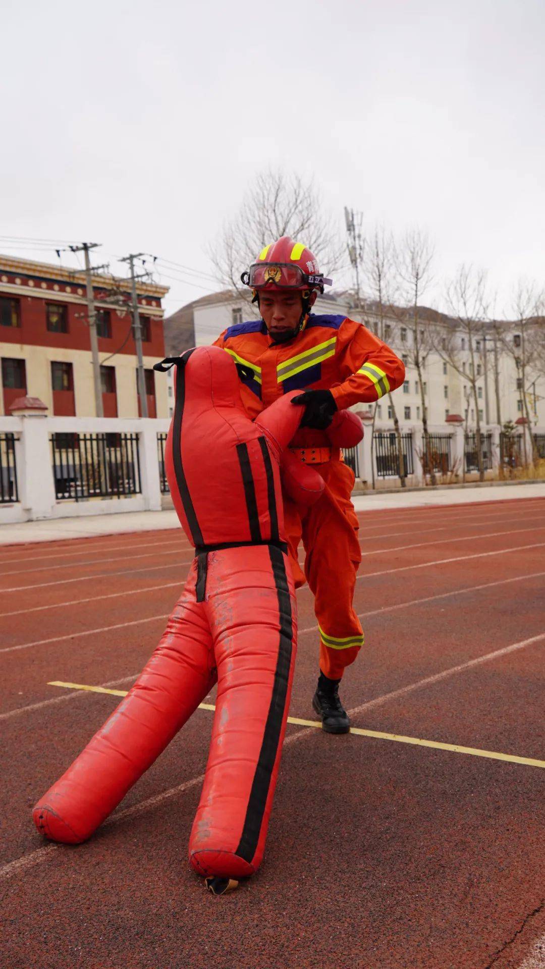 F1联赛，北城海豚队与海滨铁骑队逆转，体能对抗拉满！本土核心状态回升(鸟栖沙岩对川崎前锋)-九游体育娱乐平台