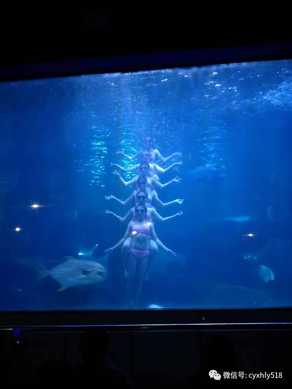  网球技能是原神大招 -九游体育娱乐平台